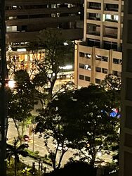 Orchard Tower Rear Block Apartment (D9), Apartment #374911101